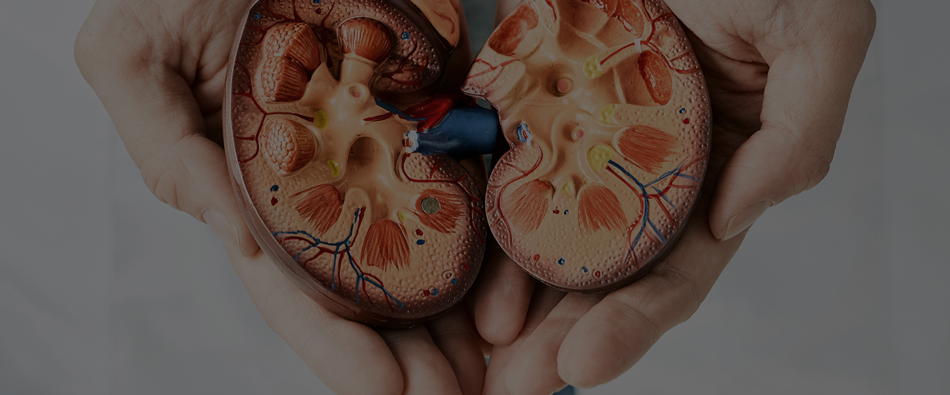 서브 비주얼 이미지