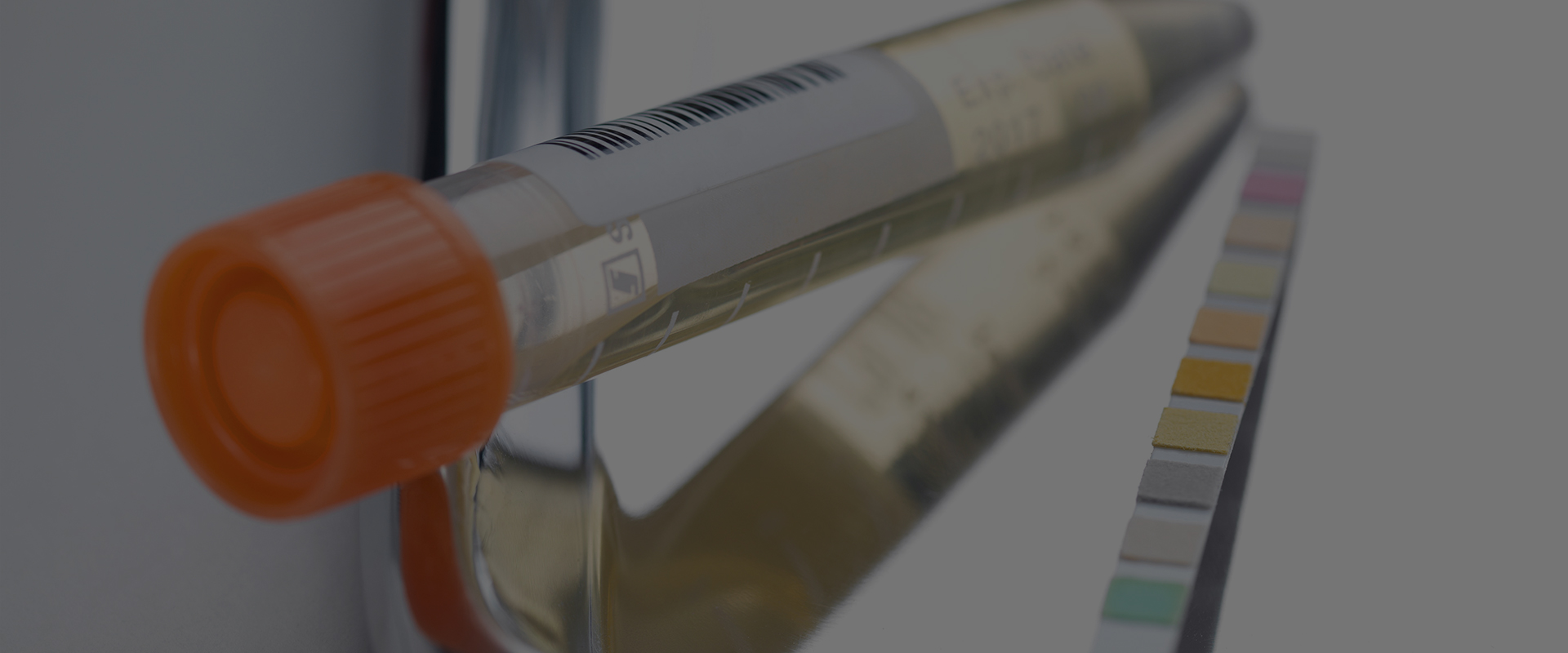 서브 비주얼 이미지