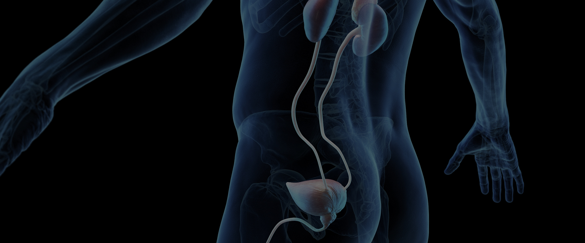 서브 비주얼 이미지